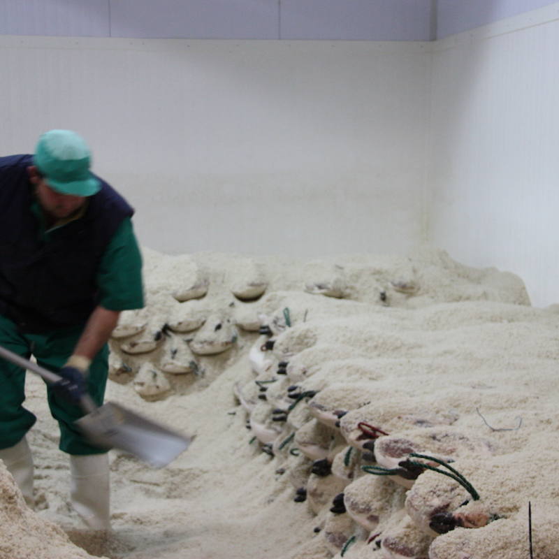 etapas-de-curacion-de-un-jamon