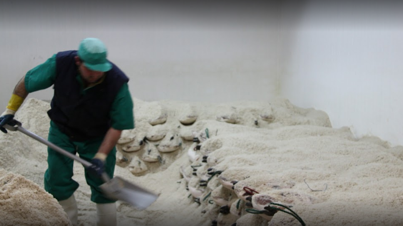 salado-de-los-jamones salado-de-los-jamones