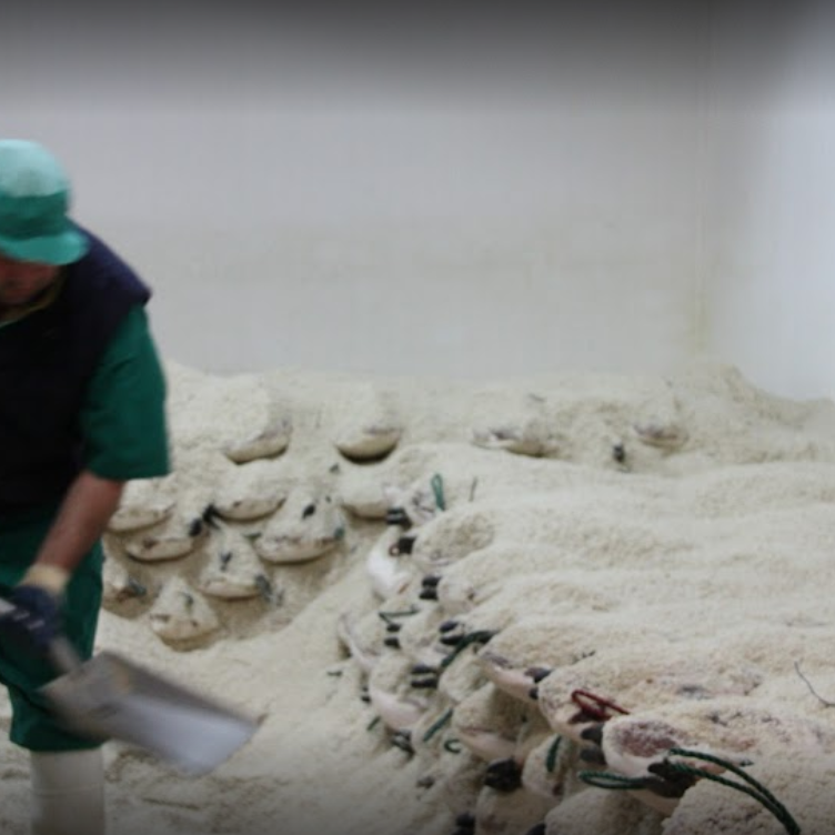 salado-de-los-jamones