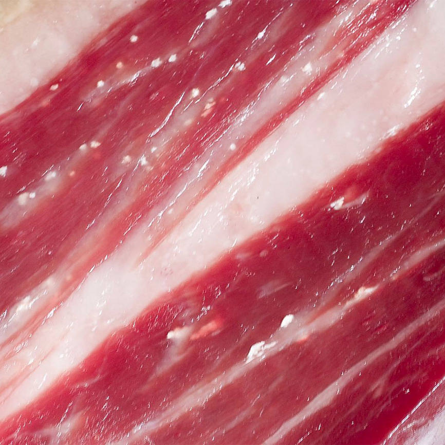 puntos-blancos-del-jamon puntos-blancos-del-jamon