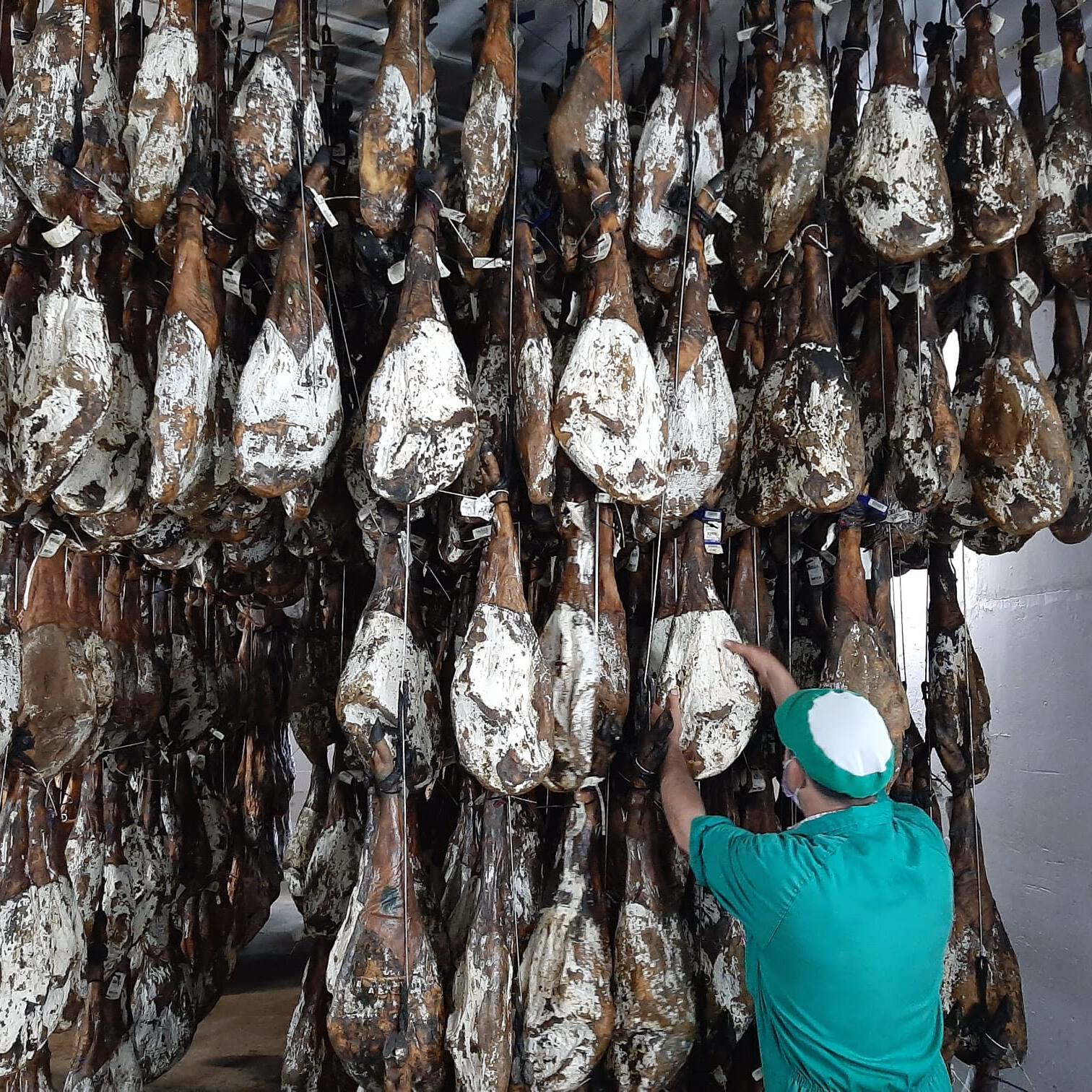 saber-si-un-jamon-iberico-es-de-bellota saber-si-un-jamon-iberico-es-de-bellota