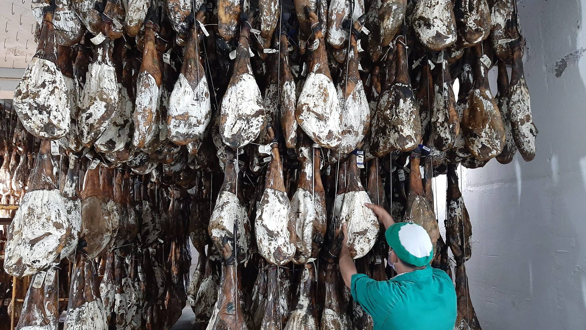 saber-si-un-jamon-iberico-es-de-bellota saber-si-un-jamon-iberico-es-de-bellota