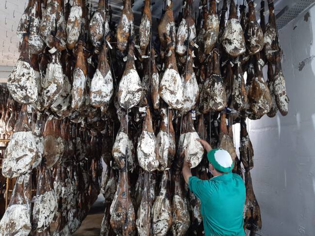 saber-si-un-jamon-iberico-es-de-bellota saber-si-un-jamon-iberico-es-de-bellota