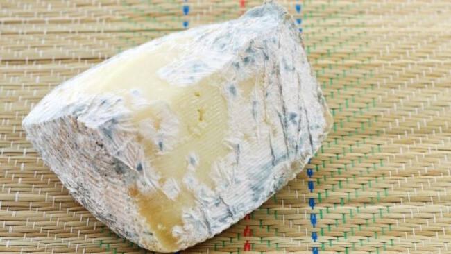 queso-con-moho queso-con-moho
