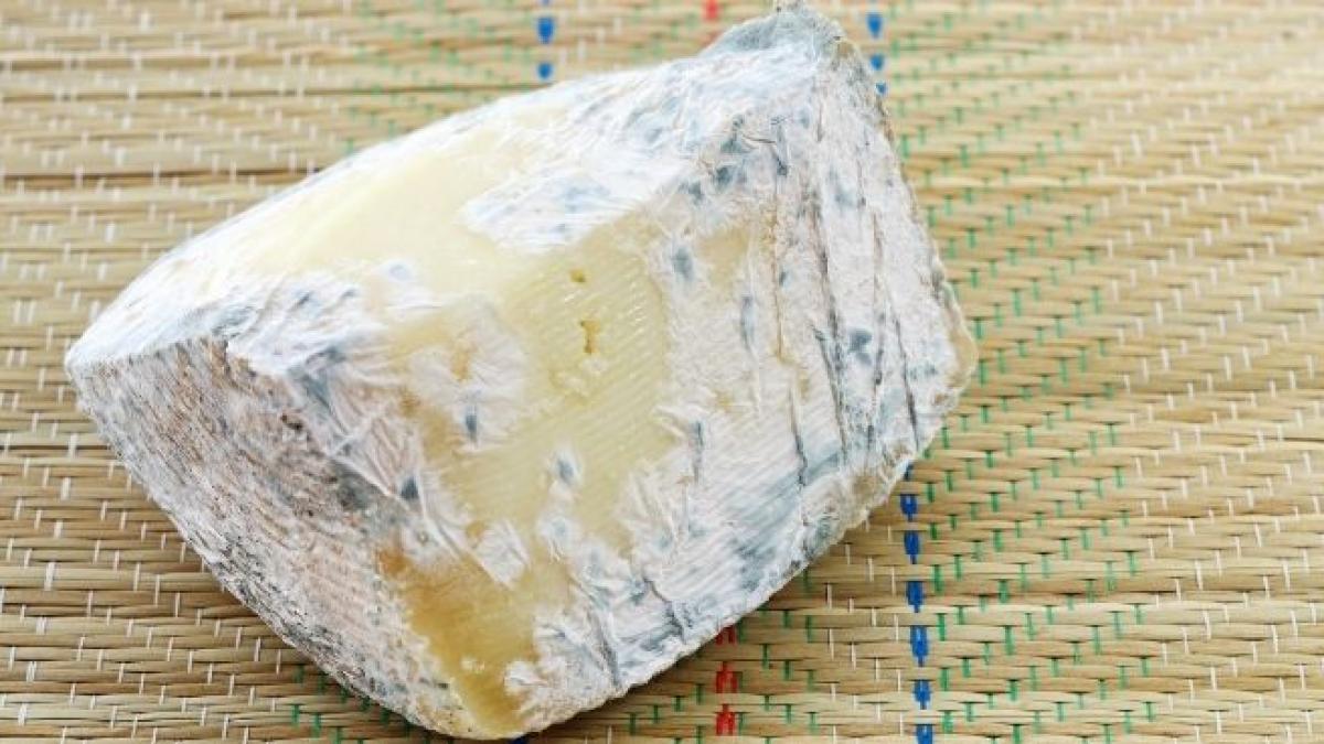 ¿Es peligroso comer queso con moho? Cortegana Ibérico