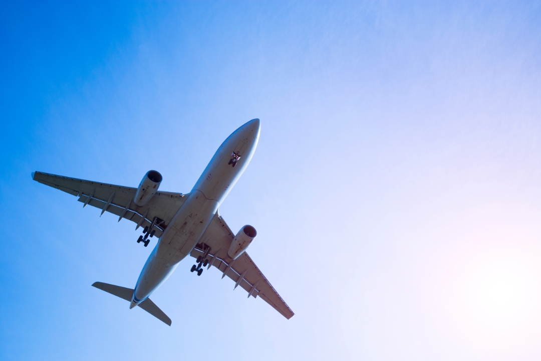 jamon-transporte-avion