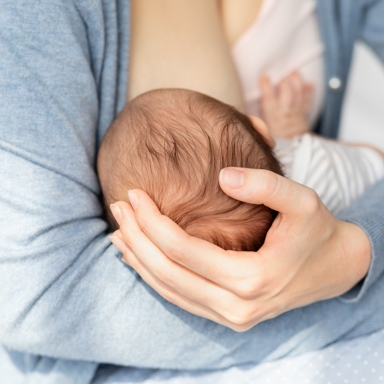 embutidos-durante-la-lactancia embutidos-durante-la-lactancia