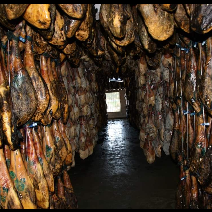 curacion-tradicional