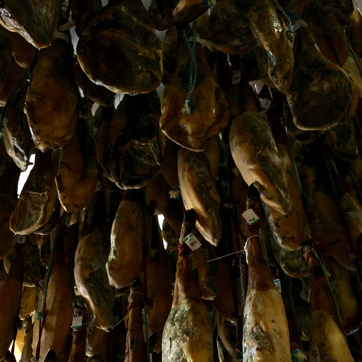 conservar-correctamente-tu-jamon