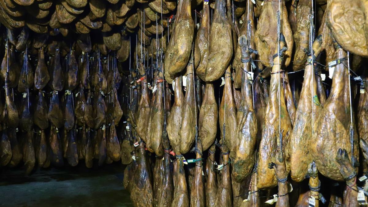 proceso-de-curacion proceso-de-curacion