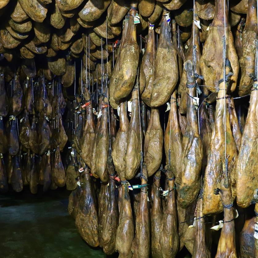 proceso-de-curacion proceso-de-curacion