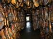 Jamones ibéricos curando en el secadero de Cortegana Ibérico