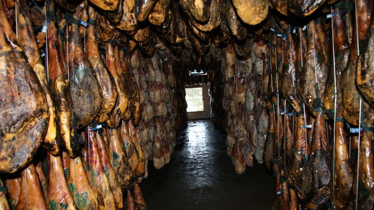 Jamones ibéricos curando en el secadero de Cortegana Ibérico